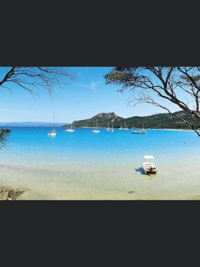 Appartement Pieds Dans L'Eau Vue Mer Bormes Les Mimosas 外观 照片