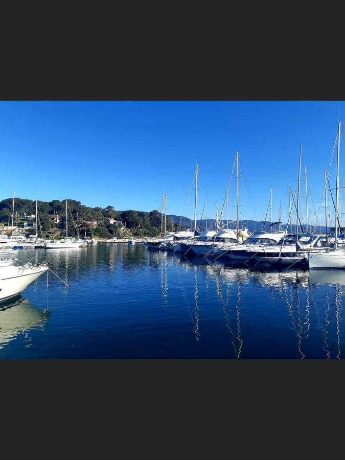 Appartement Pieds Dans L'Eau Vue Mer Bormes Les Mimosas 外观 照片