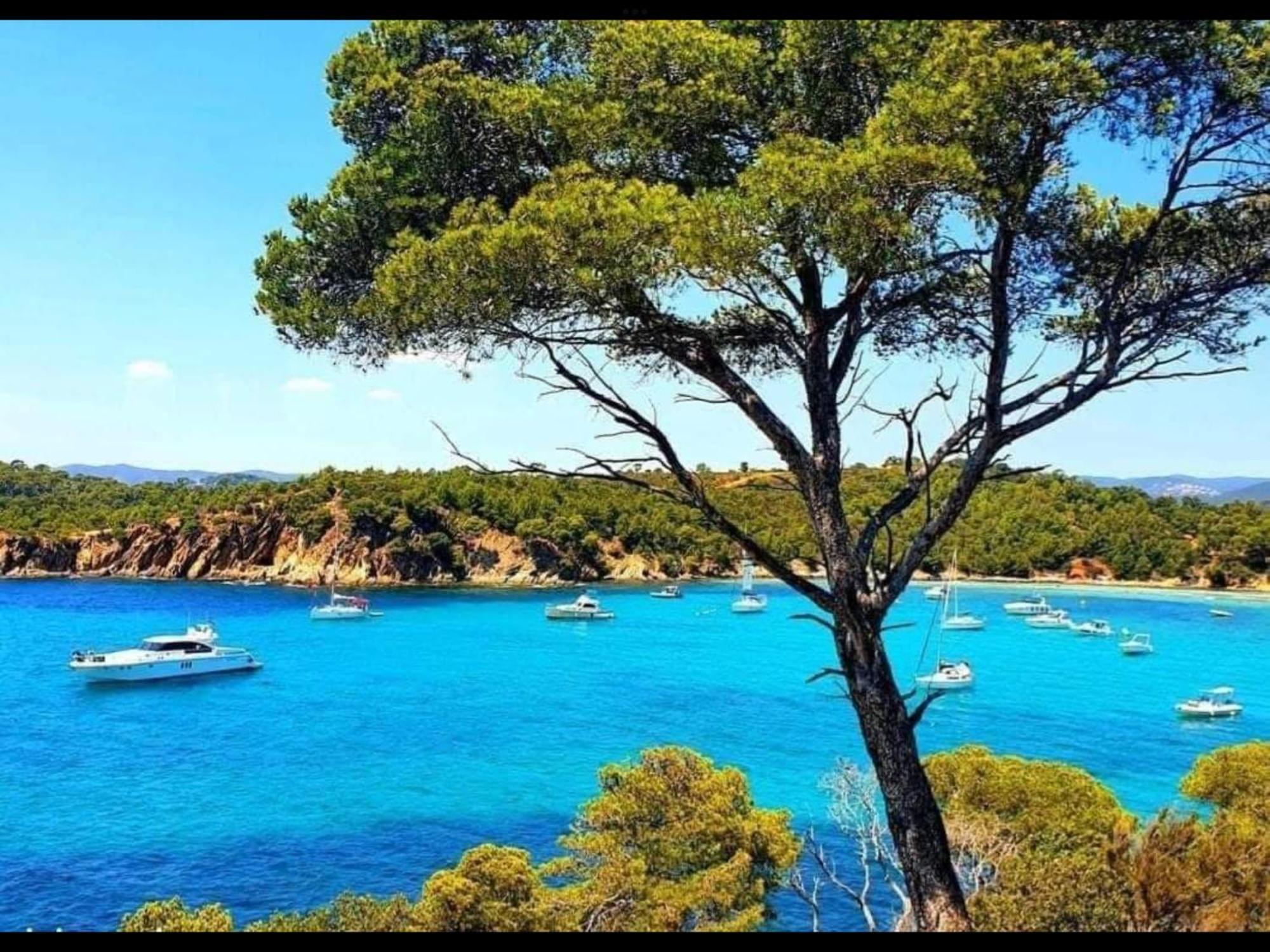 Appartement Pieds Dans L'Eau Vue Mer Bormes Les Mimosas 外观 照片