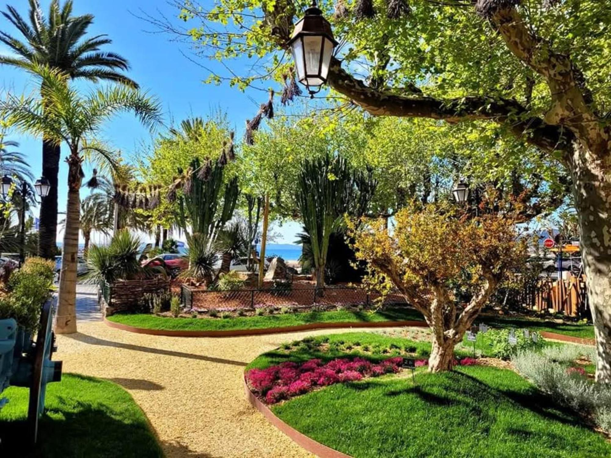 Appartement Pieds Dans L'Eau Vue Mer Bormes Les Mimosas 外观 照片